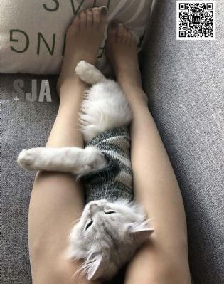 婷婷久久综合九色综合绿巨人_超清电影在线看