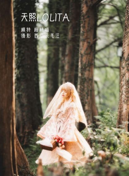 97视频在线精品_BD韩语高清免费观看